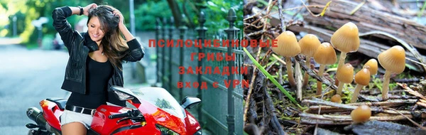 мескалин Зеленокумск